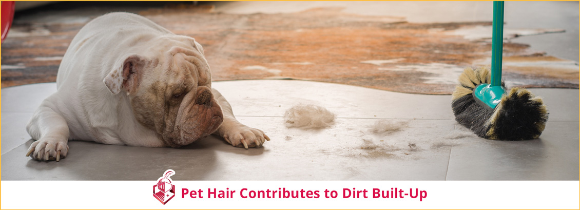 Pet Hair Contributes to Dirt Built-Up