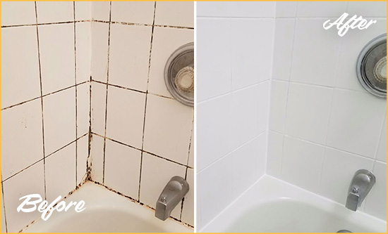 Before and After Picture of a Palmer Lake Shower Tile and Grout Cleaned to Eliminate Mold