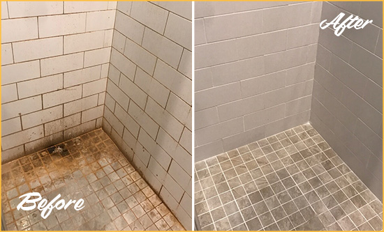 Before and After Picture of a Monument Shower Tile and Grout Cleaned to Eliminate Mold and Stains