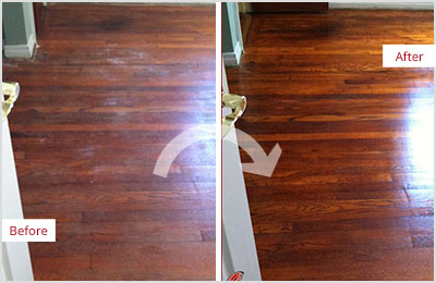 Sir Grout Colorado Springs Deep Wood Cleaning